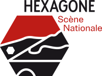 LOGO_HEXAGONE